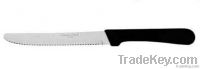 steak knife/utility knife