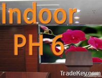 P6 inddor Led display