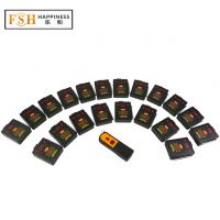 Hot Sale+1 Digital Remote With 20 Receivers+ Sequential Fire Firing System+adjust Different Time