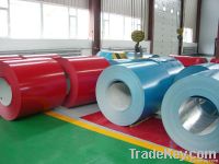 prepainted galvanized steel coil/PPGI