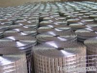 Welded Wire Mesh