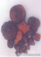 ox and cow gallstones