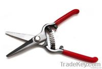 Straight edge garden scissors, garden scissors, flower scissors, shears