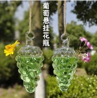 Unique Grape Type Hanging Glass Vases fit home decor and housewarming green gift-1 piece