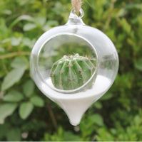 Gyro glass vase,hanging flower glass vase Home Decoration Succulent Terrarium Kit Housewarming Gift Housewarming Gift