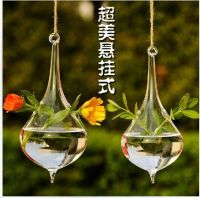 2 pieces Fashion water drop hanging glass vase Handmade Succulent Terrarium Kit Home decoration Hostess Gift