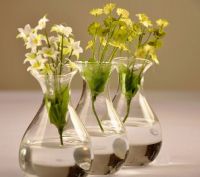 Unique European comeliness conjoined crystal glass vases fashion home furnishing accessories hydroponic flower,housewarming green gift