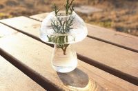 transparent mushroom glass vases