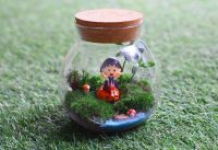 Micro landscape Moss bottle,lichen bottle ,The fleshy vase,,heat-resistant glass tea pot cork sealed tank