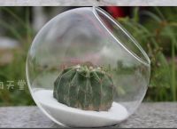 8cm-15cm Round glass vase Handmade Succulent Terrarium Vase For Wedding Gifts