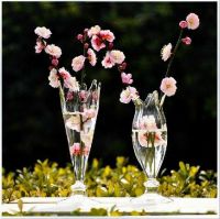 1 Pair Modern fashion transparent glass vases, flower arrangement glass containers, office desktop vase wedding table decoration vase