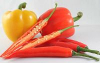 fresh chilli importers,fresh chilli buyers,fresh chilli importer,buy fresh chilli,fresh chilli buyer,import fresh chilli,fresh chilli suppliers
