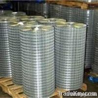 Galvanized Welded Wire Mesh