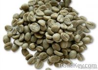 https://www.tradekey.com/product_view/Export-Coffee-Beans-Coffee-Bean-Importer-Coffee-Beans-Buyer-Buy-Coffee-Beans-Coffee-Bean-Wholesaler-Coffee-Bean-Manufacturer-Best-Coffee-Bean-Exporter-Low-Price-Coffee-Beans-Best-Quality-Coffee-Bean-Coffee-Bean-Supplier-Sell-Coffee-Be-4866197.html