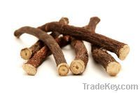 Licorice (Glycyrrhiza glabra)