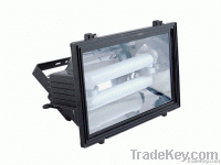 Induction lamp for Flood light