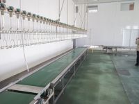 Poultry Processing Equipment -Live Birds Reception-Crate Conveyor 