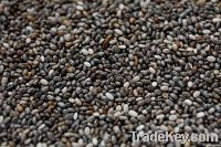 Chia seeds, Raisin, Coca seed, Hemp seed oil, CBD Seed Oregon, Hemp seed