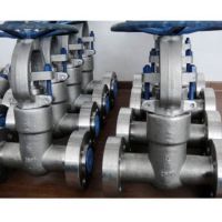 Gate Valve- F51, F317l 