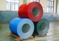 PPGI (Prepainted Steel Sheet)