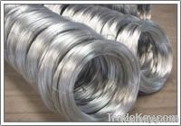 Elctro Galvanized Wire