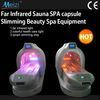 2013 NEW steam sauna spa equipment