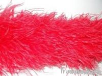 Boa Ostrich Feather