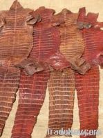 Animal Skins / Hides