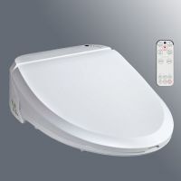 Remote control bidet toilet seat