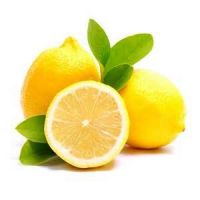 Florida Natural Lemonade Concentrate