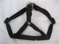 pet belts