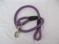 Fashion pet belts