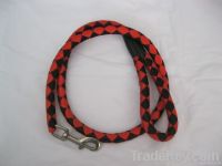 Fashion pet belts