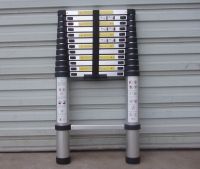 telescopic ladder
