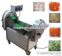 Multifunction Vegetable Cutting Machine