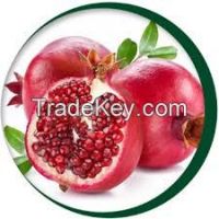 Pomegranate Juice Concentrate