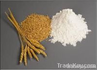 wheat flour