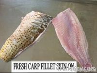 Wild Caught Buffalo Carp Fillets