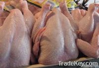 Halal Whole Frozen Chicken Parts & Chicken Feets 