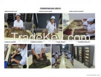 CIGAR PRODUCTION PROCESS