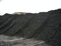 Bituminous Coal