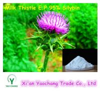 Silybin 95%-Milk Thistle Extract Powder-80% Silymarin-HALAL, Non-GMO, Free Sample