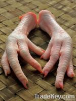 Export Chicken Paw | Chicken Feet Suppliers | Poultry Feet Exporters | Chicken Feets Traders | Processed Chicken Paw Buyers | Frozen Poultry Paw Wholesalers | Low Price Freeze Chicken Paw | Best Buy Chicken Paw | Buy Chicken Paw | Import Chicken Paw | Chi