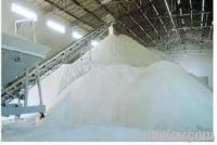 white cane sugar