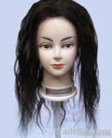 hair wigs(100% human hair)