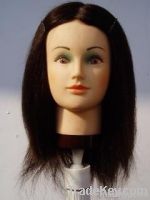 training head/mannequin head