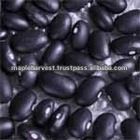 https://fr.tradekey.com/product_view/Black-Beans-6385493.html