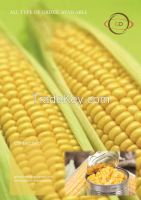 Sweet Corn 