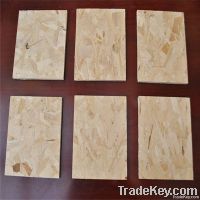 Oriented Strand Board