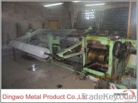 hexagonal wire netting
